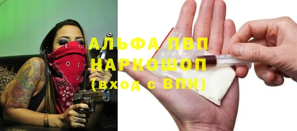 спиды Каменногорск