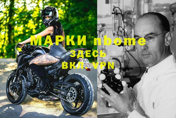 спиды Каменногорск
