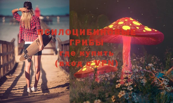 спиды Каменногорск