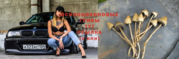 шишки Каменск-Шахтинский