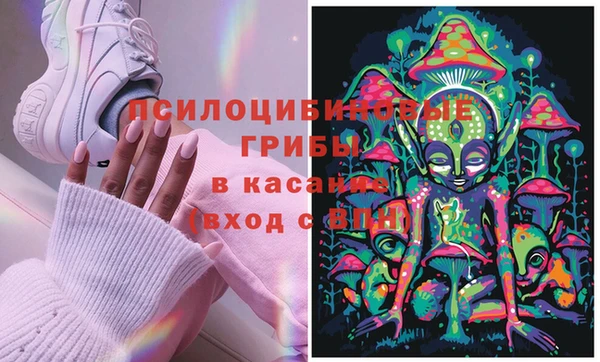 спиды Каменногорск