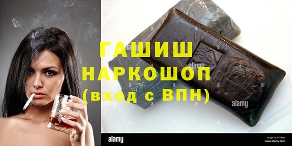 спиды Каменногорск